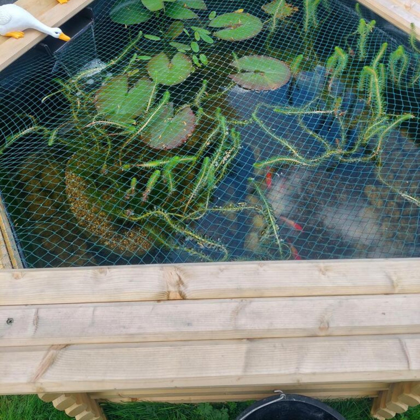175 Gallon Raised Wooden Garden Pond | Hexagonal Above-Ground Kit