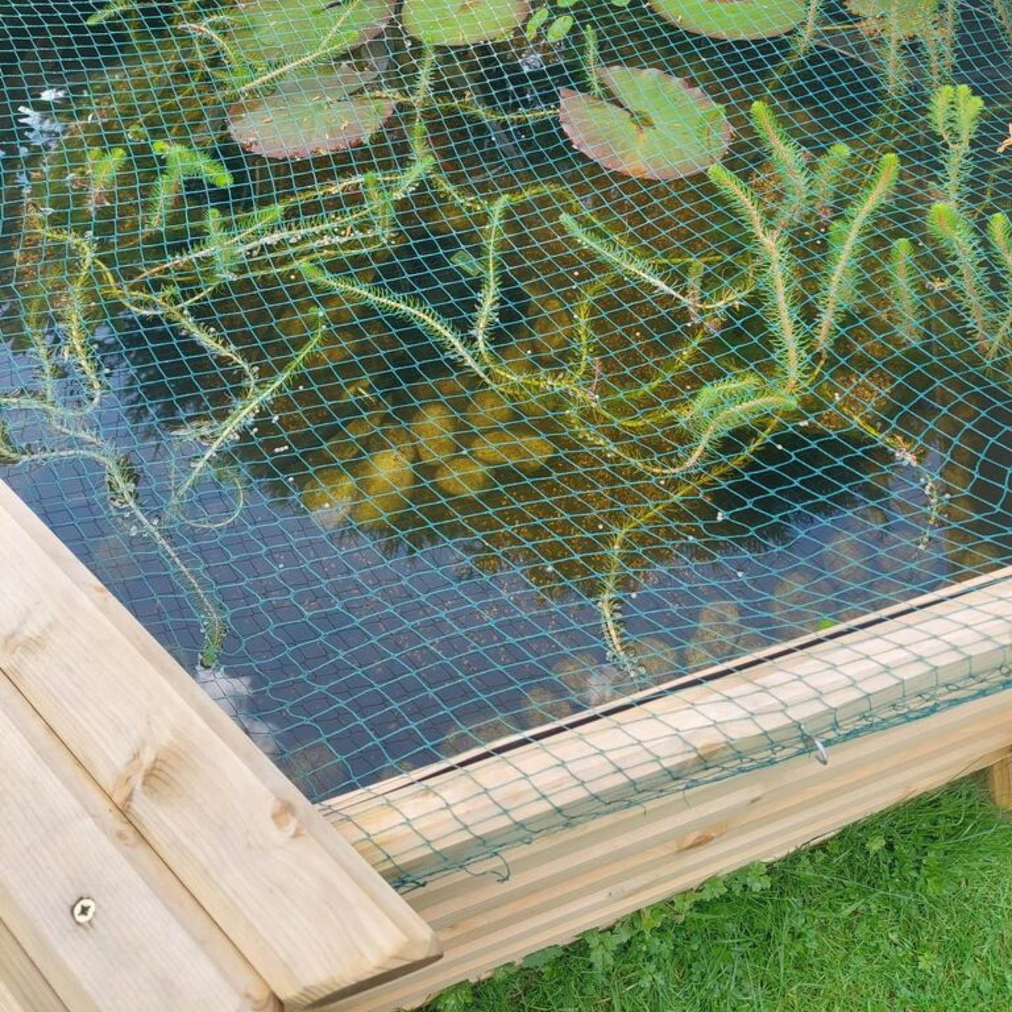 175 Gallon Raised Wooden Garden Pond | Hexagonal Above-Ground Kit