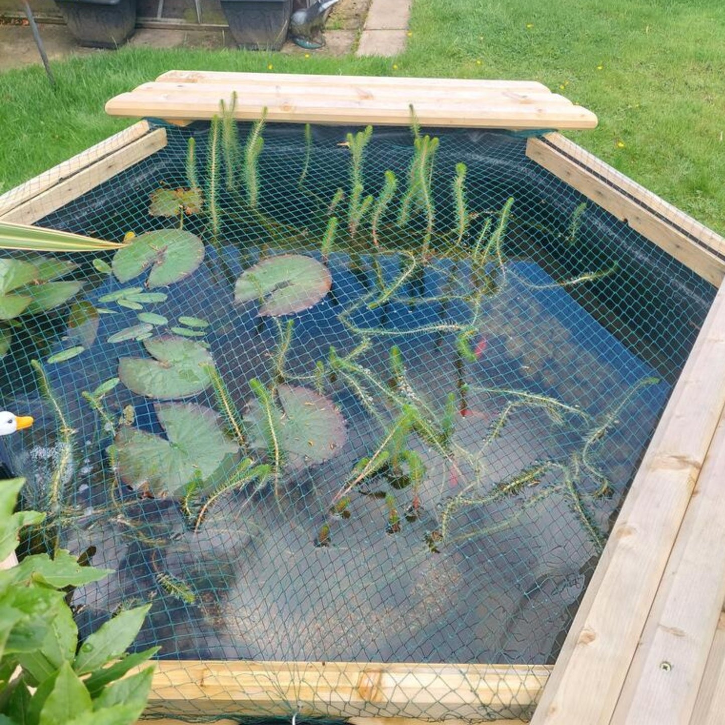 175 Gallon Raised Wooden Garden Pond | Hexagonal Above-Ground Kit